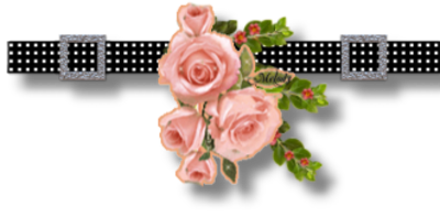 50O2LU6o3NmwvP38ASBpRFkGuqp0D6ZfpdoF1cKnqIdnNiDDzIHEspiO0ux--4R9.png