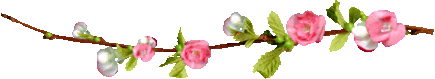VQr6crG7ks1GKlXqMGd6VLlk-zrdulZP9noncLF1uGgaWZ5buHgbTKSGr6nCuqWb.gif