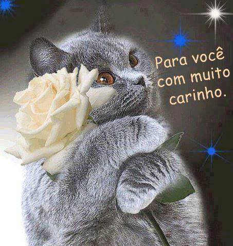 aY6fSBvcTNWV1-QIsQLqaCbQGhFxIBCDeDxqEoOc