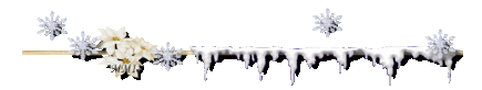 jPWf3cKdzfmpj050puyeTJdyK-BLK2ZjB2lUHEDRcZ1mzLwQ4mKHZFpkyYlHFiLt.gif