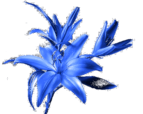 -_nzQX-L1nrlrGzs1qIHHas2FPZVxiAqYpWGCFPL_tWYVpW1alZi30R-0d78achv.gif