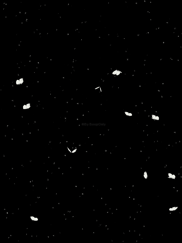 IWxmj-uyNsD6jE3zg3dS07m4c6dD8AypfhQBj6cUn5gAkHmteB-qE2nwFiDVaPcB.gif