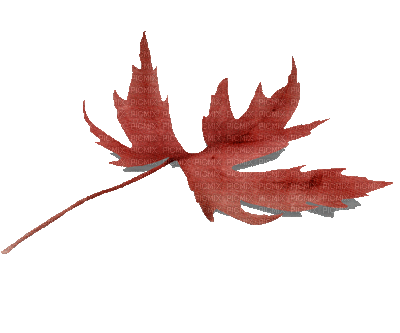 JjuG1TEupf8WFW-UjptZBfwIPjSbT8pKfmmXu5zdRZbDLQsN0zGyXZ2FKaHAJXx2.gif