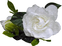 PWg4w_qsVzztxVDmPRJUR1sU4lHXBTS38F5VEVO6stHAuOzFKGKJ5iSDxERcqXgd.gif