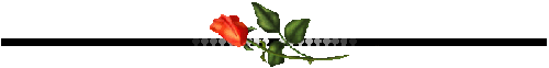 VMdwqHd3mVUx9SN8Sr_3pub6Babw-NVoyQCfdhDd9WL_Q9CcQRVCStM2B2SqWfSs.gif