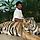 Ravi K